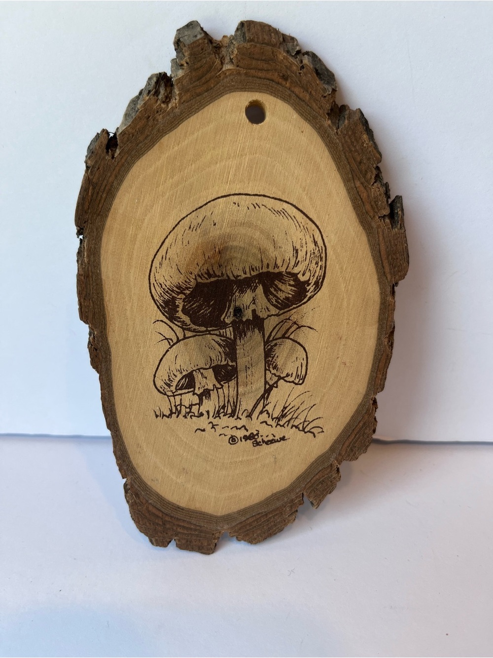 Vintage Rustic Wood Slice Mushroom Art 80’s 90’s